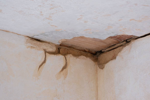 Best Flooded house restoration  in South Hutchinson, KS
