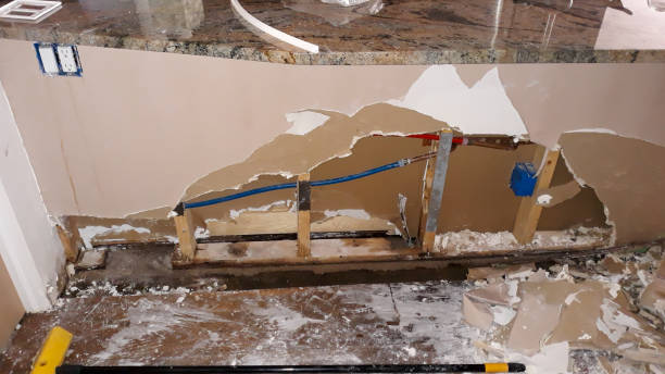 Best Basement water damage restoration  in South Hutchinson, KS